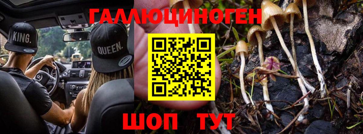 магазин продажи   Псилоцибиновые грибы мицелий  Вход с VPN  Псилоцибиновые грибы GOLDEN TEACHER  Минусинск 